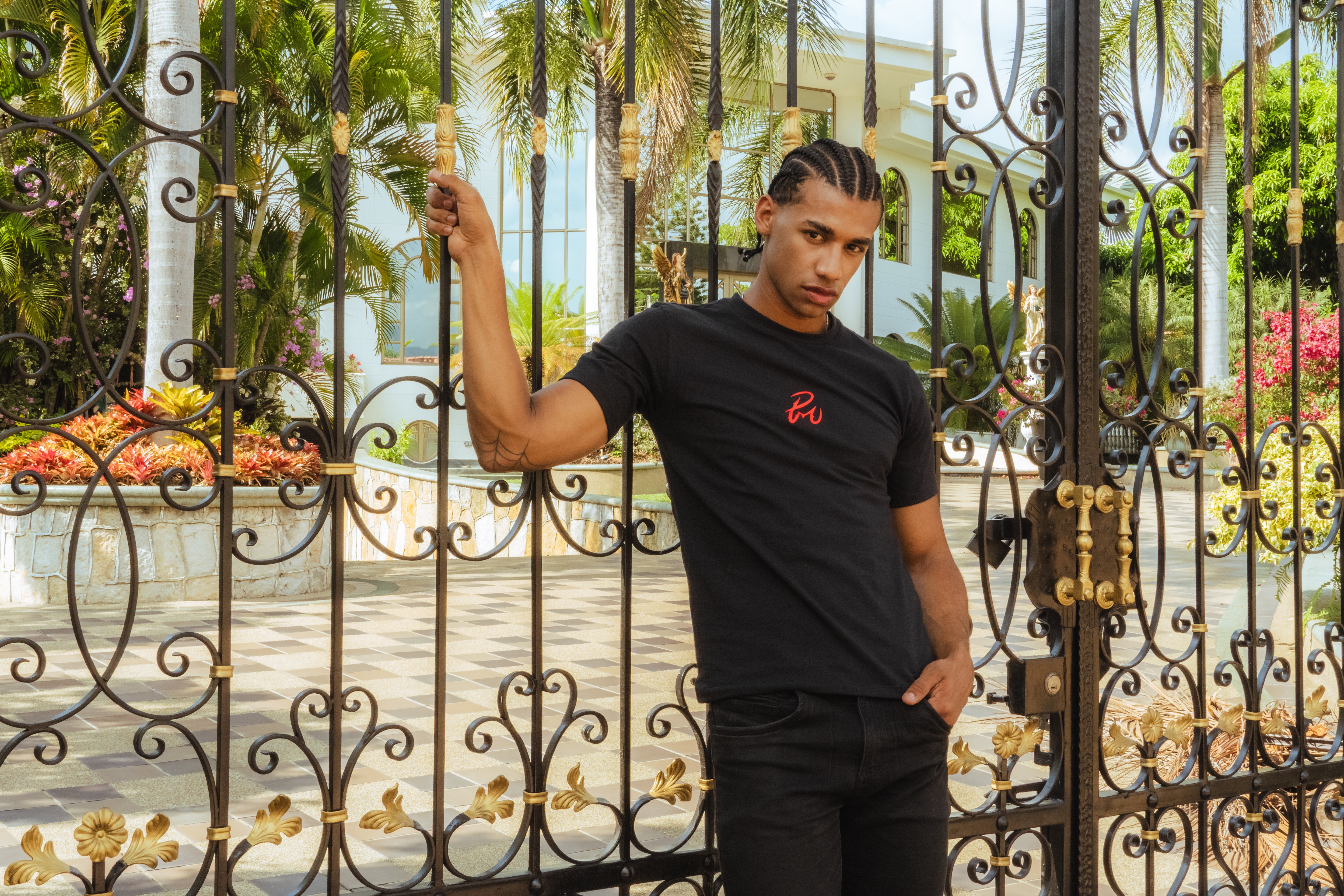 Tempting Pegasus T-shirt Black